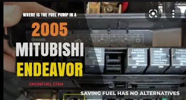 Locating the Fuel Pump in a 2005 Mitsubishi Endeavor