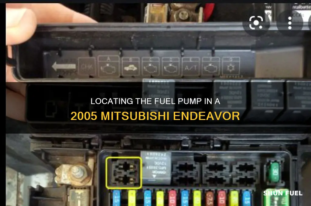 where is the fuel pump in a 2005 mitubishi endeavor