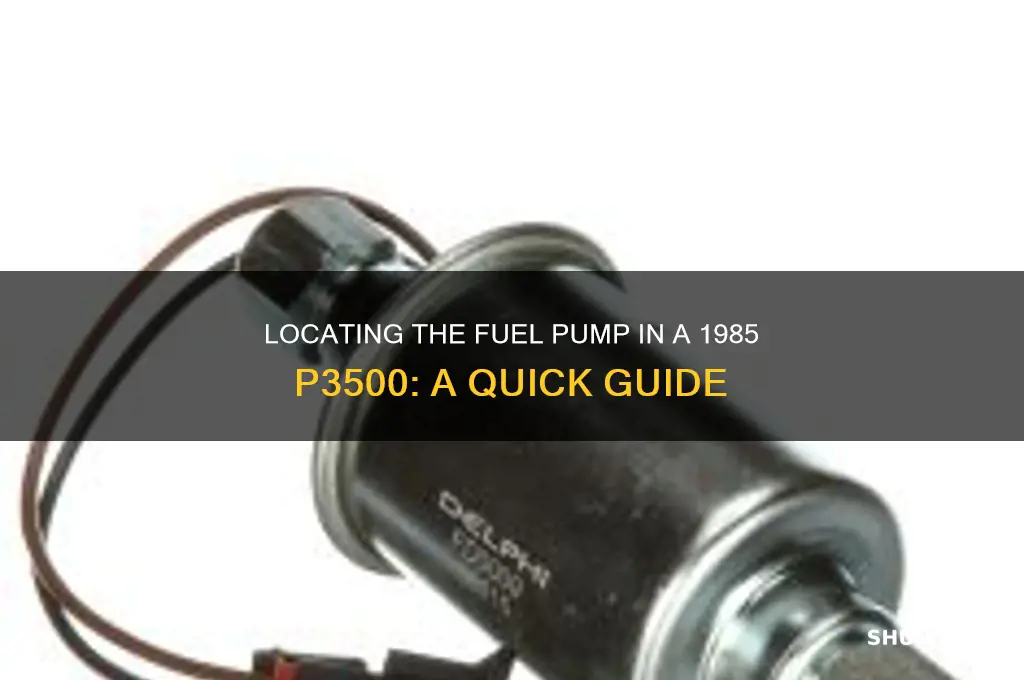 where is the fuel pump in a 85 p3500