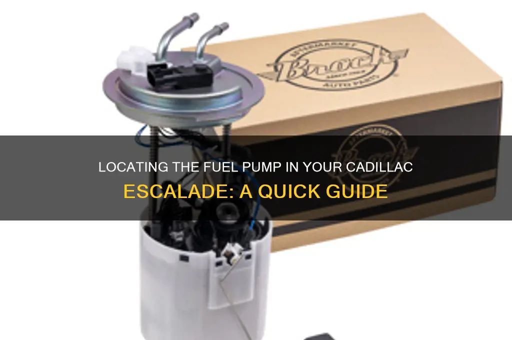 where is the fuel pump in a escalade