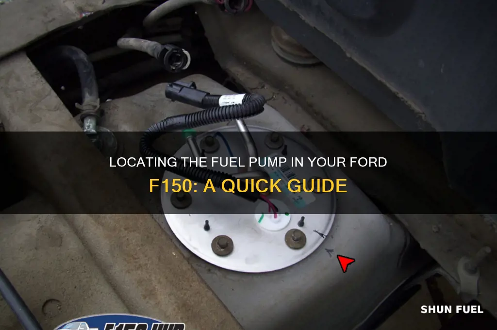 where is the fuel pump in a ford f150