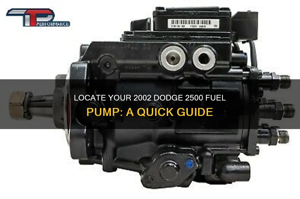 where is the fuel pump in my 2002 dodge 2500