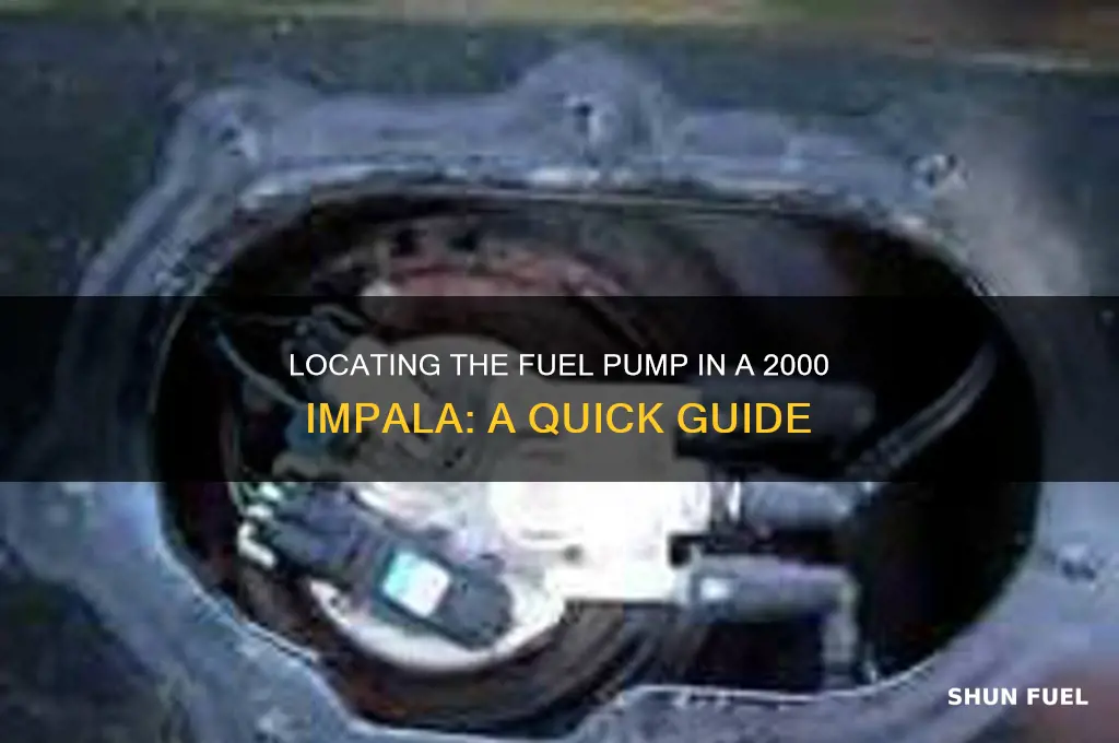 where is the fuel pump in the 2000 impala