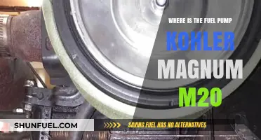 Locate the Fuel Pump on Your Kohler Magnum M20 Engine