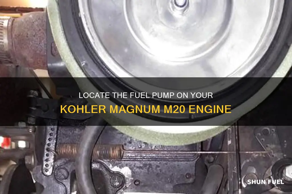 where is the fuel pump kohler magnum m20