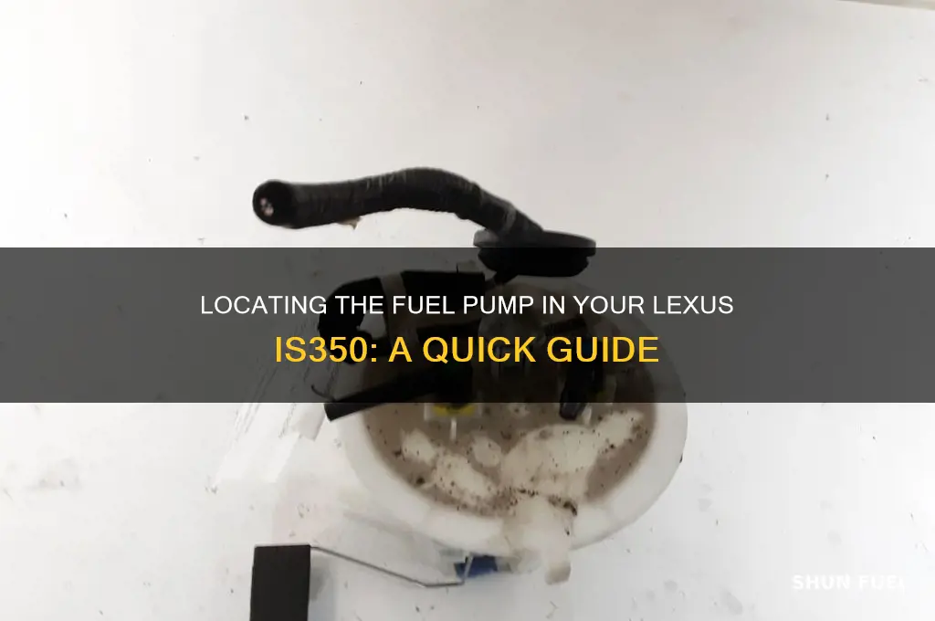 where is the fuel pump lexus is350