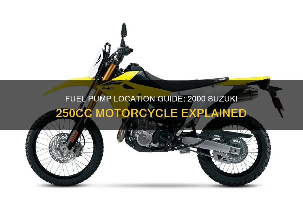 where is the fuel pump located 2000 suzuki 250cc