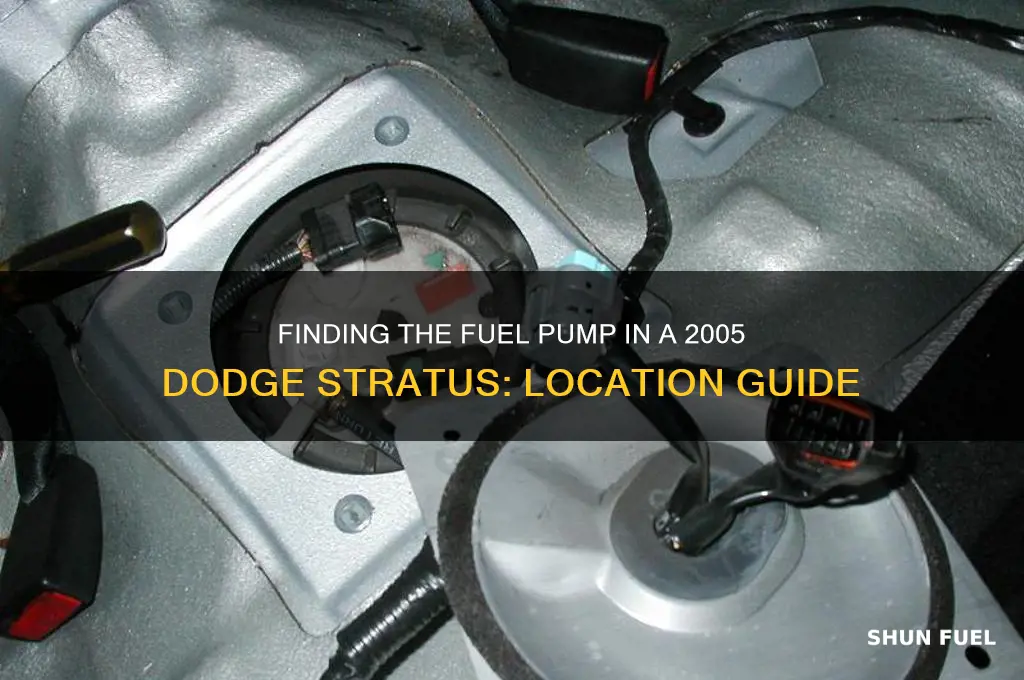 where is the fuel pump located 2005 dodge stratus