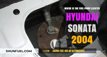 Locate the Fuel Pump in Your 2004 Hyundai Sonata Easily