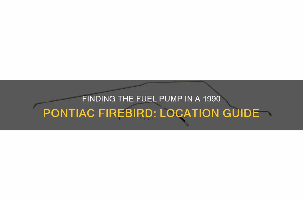 where is the fuel pump located on 1990 pontiac firebird