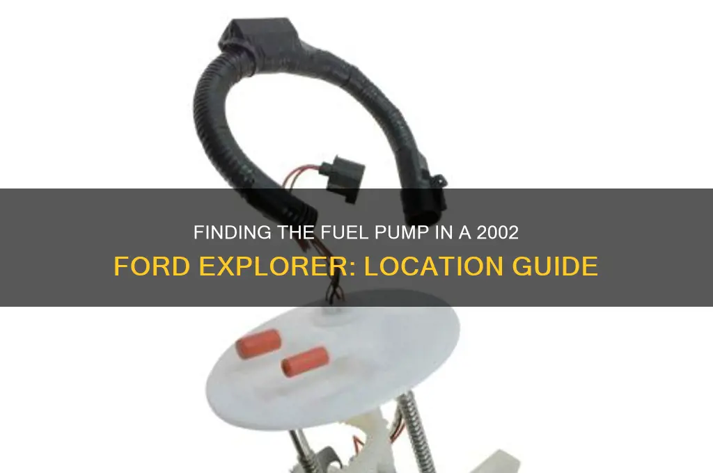 where is the fuel pump located on 2002 ford explorer