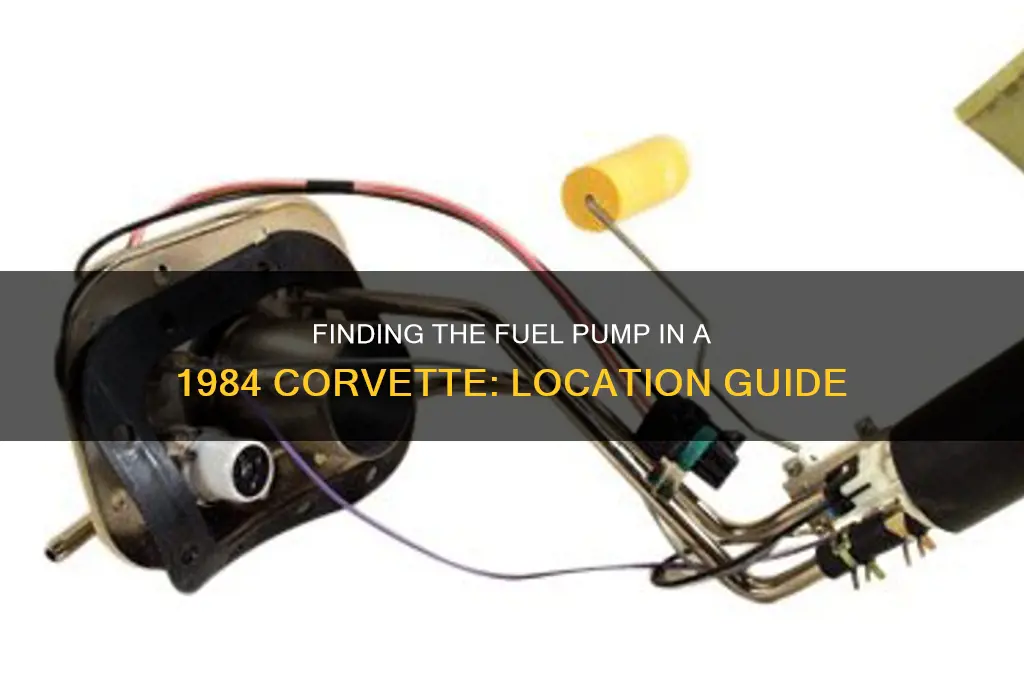 where is the fuel pump located on a 1984 corvette