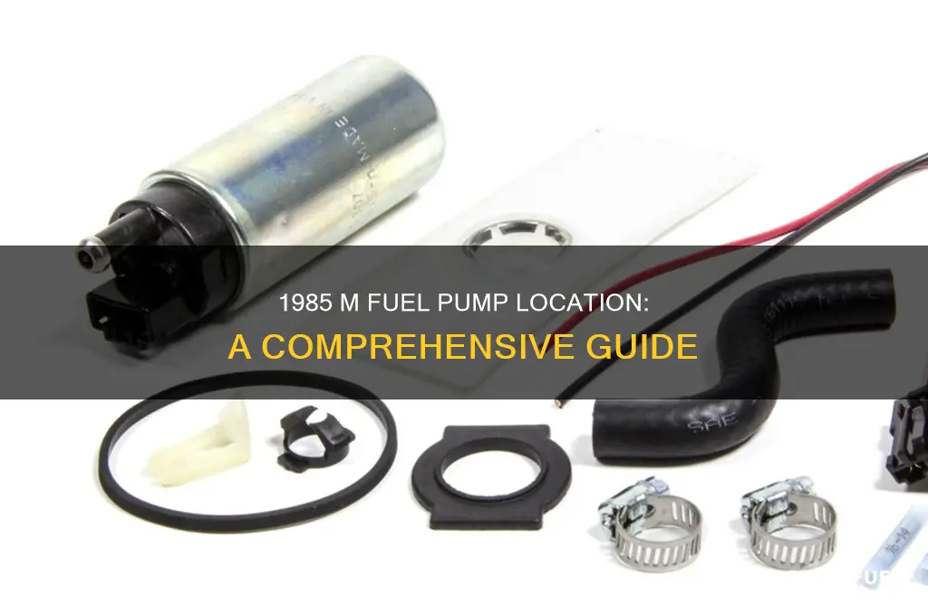 where is the fuel pump located on a 1985 m