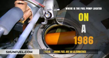Finding the Fuel Pump in a 1986 Vehicle: Location Guide