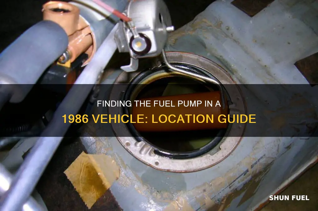 where is the fuel pump located on a 1986