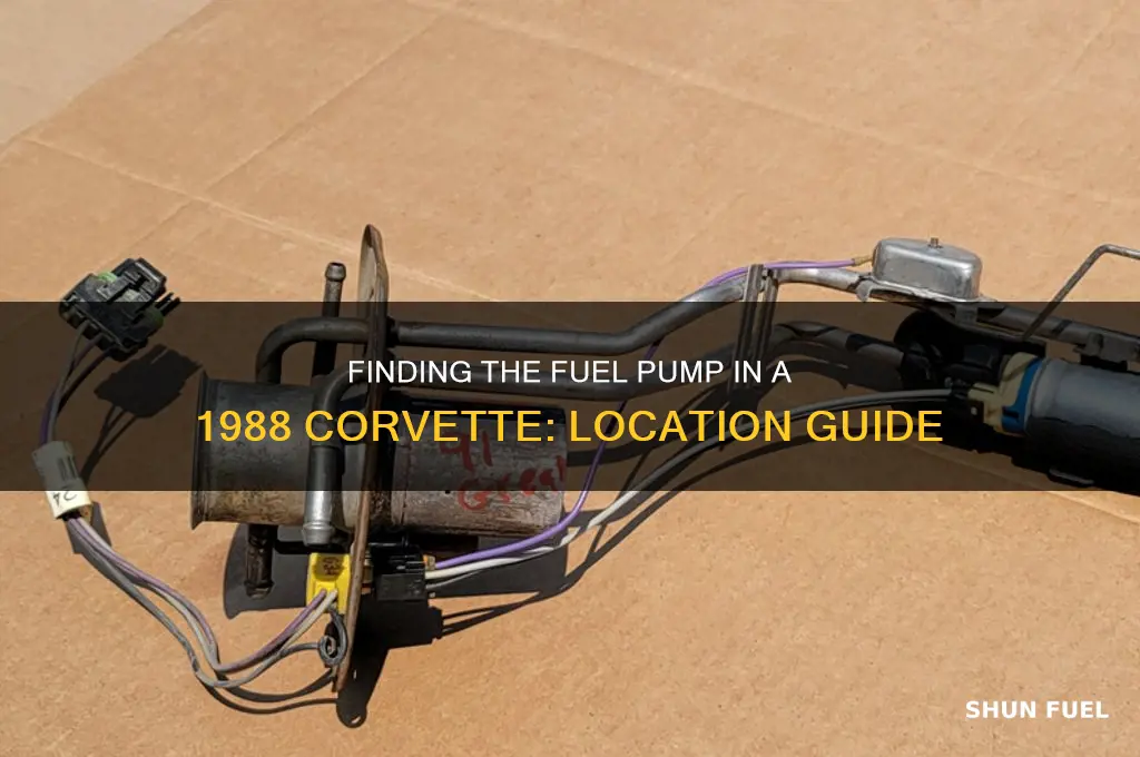 where is the fuel pump located on a 1988 corvette