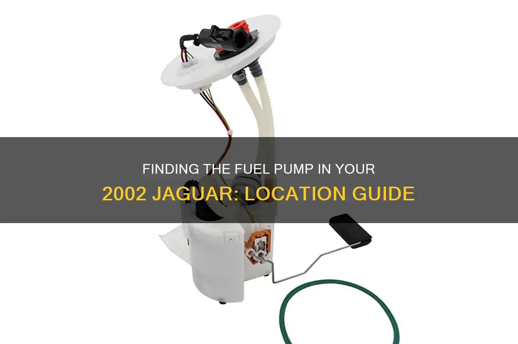 where is the fuel pump located on a 2002 jaguar
