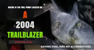 Fuel Pump Location Guide for 2004 Trailblazer Owners