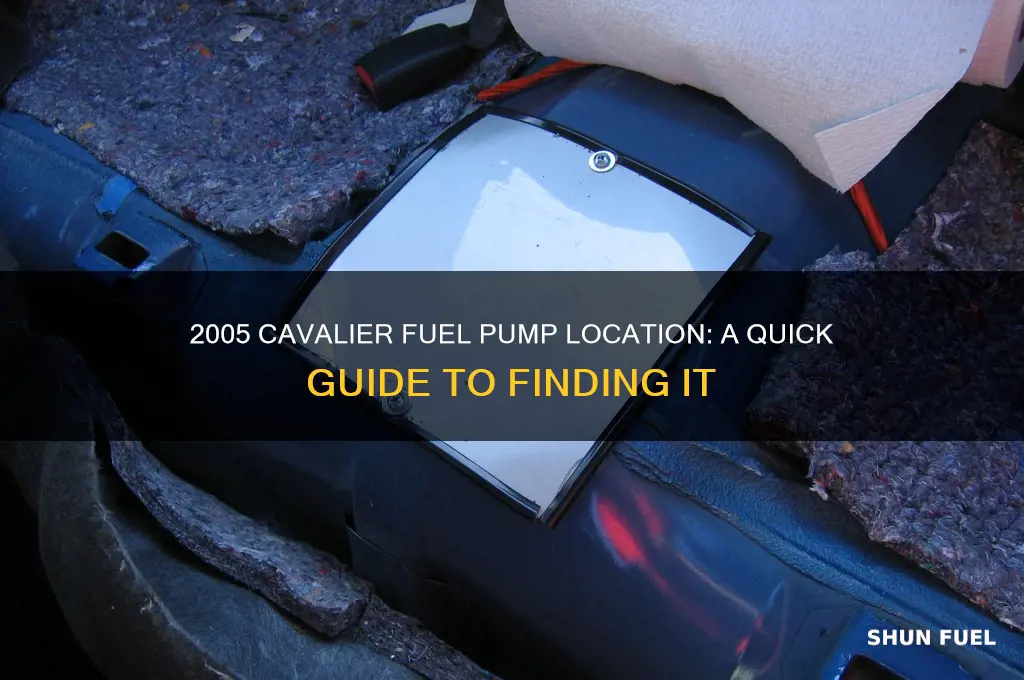 where is the fuel pump located on a 2005 cavalier