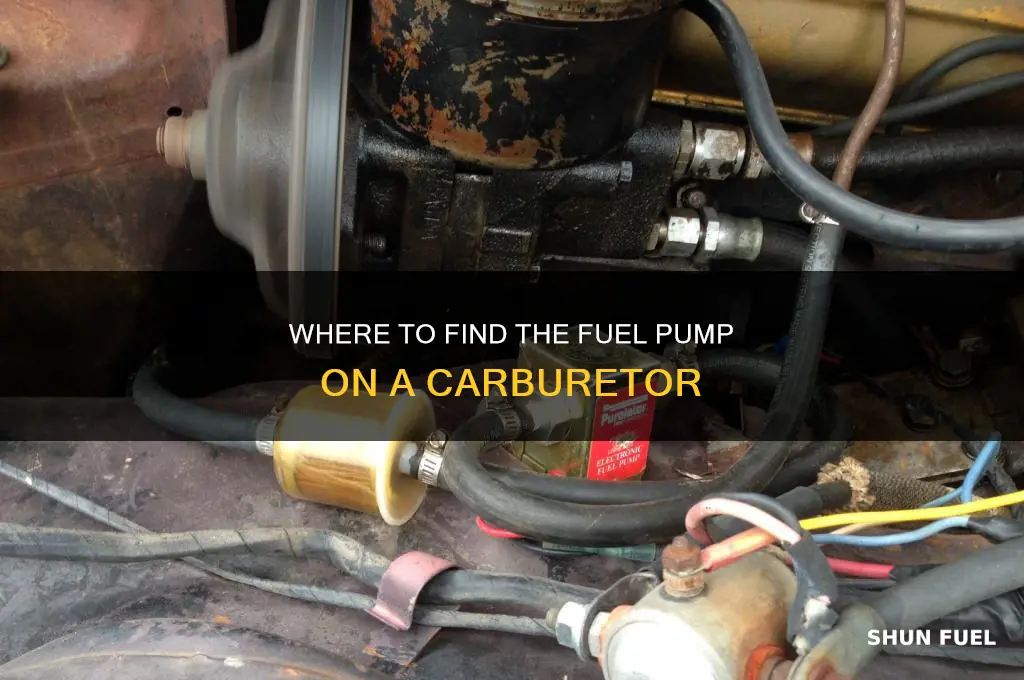 where is the fuel pump located on a carburetor