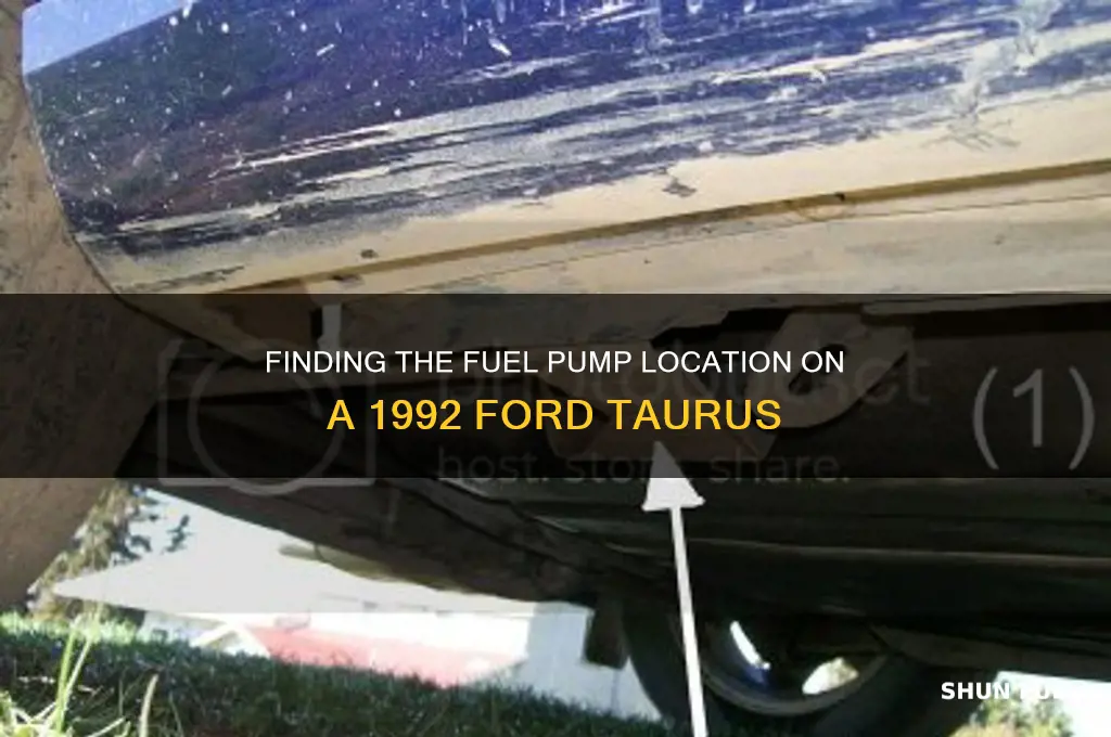 where is the fuel pump locatedon a 92 ford taurus