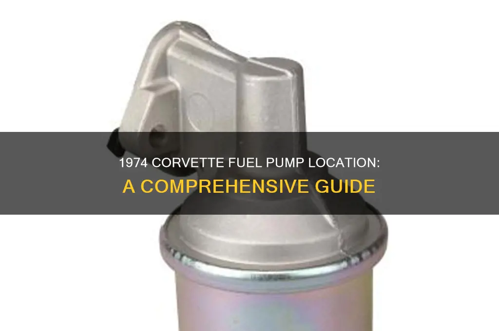 where is the fuel pump location on a 1974 corvette