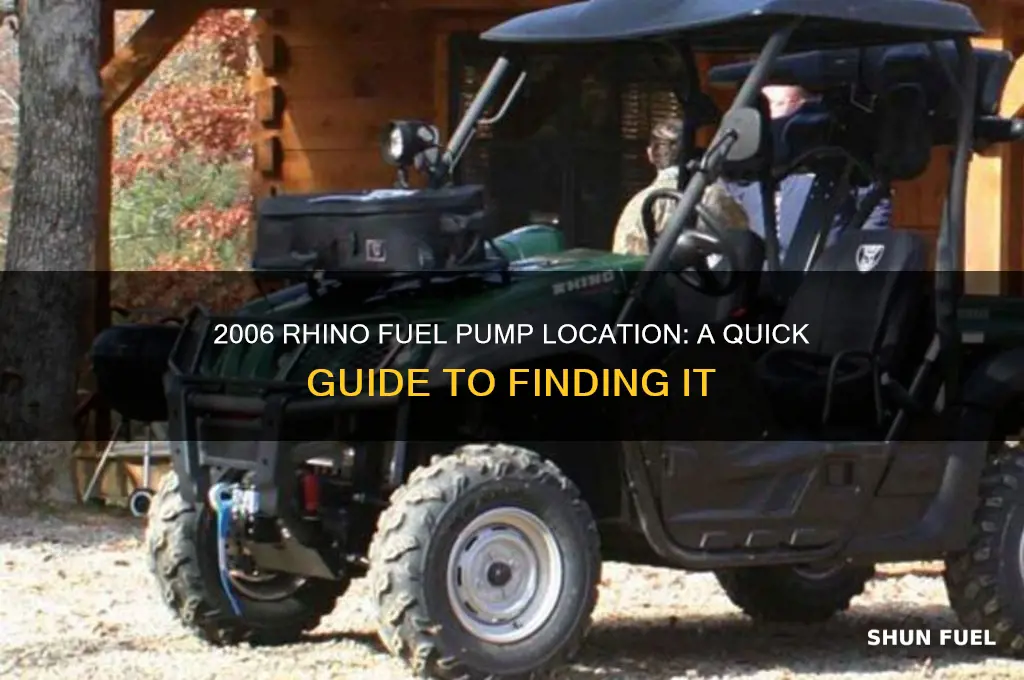 where is the fuel pump location on a 2006 rhino
