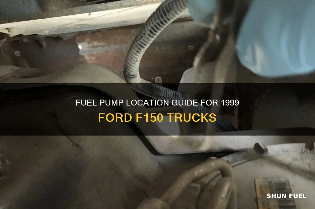 where is the fuel pump locatted on a 1999 f150