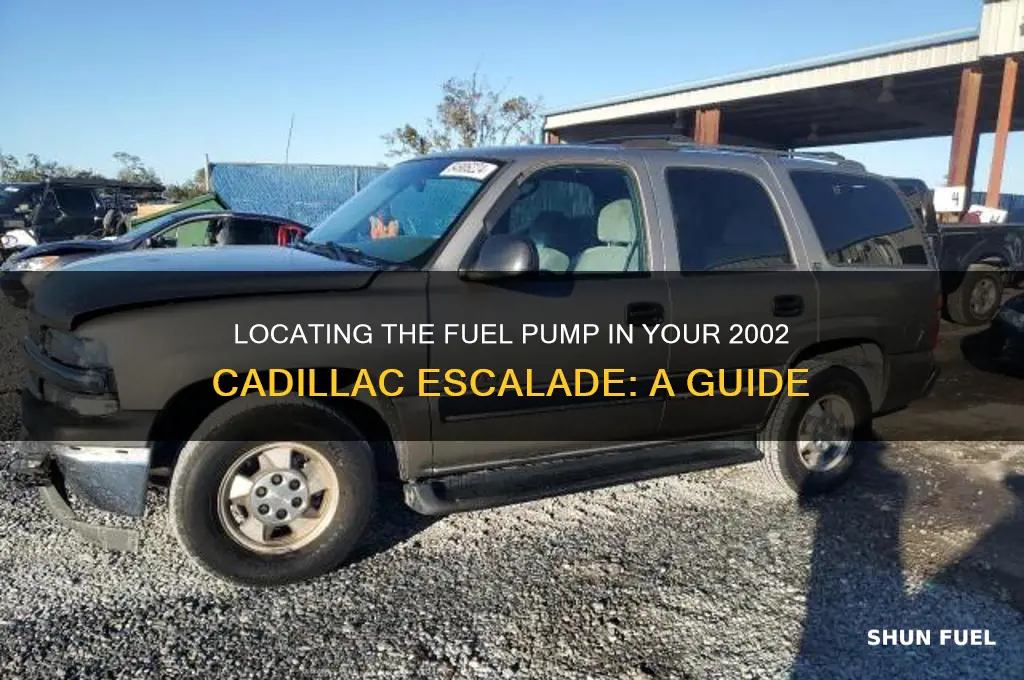 where is the fuel pump on 02 escalade