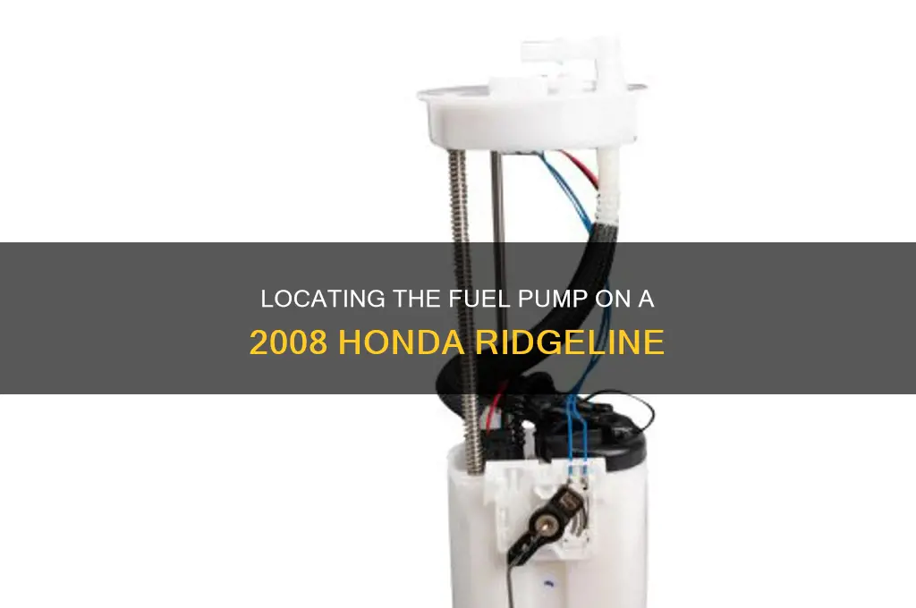 where is the fuel pump on 08 honda ridgeline