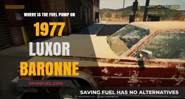 Locating the Fuel Pump on a 1977 Luxor Baronne: A Guide
