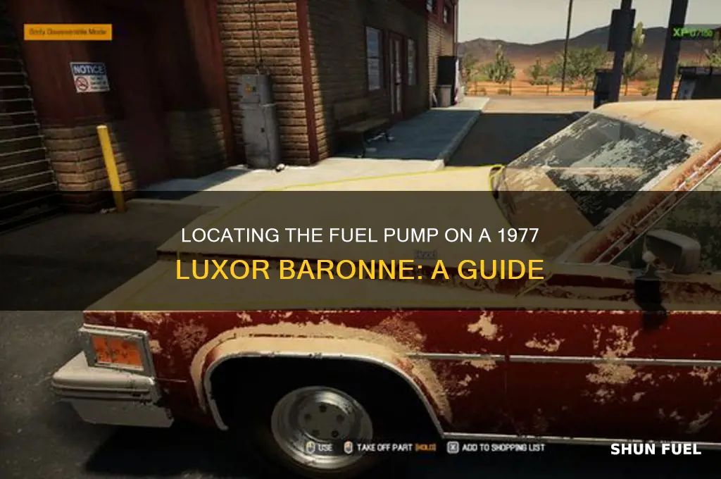 where is the fuel pump on 1977 luxor baronne