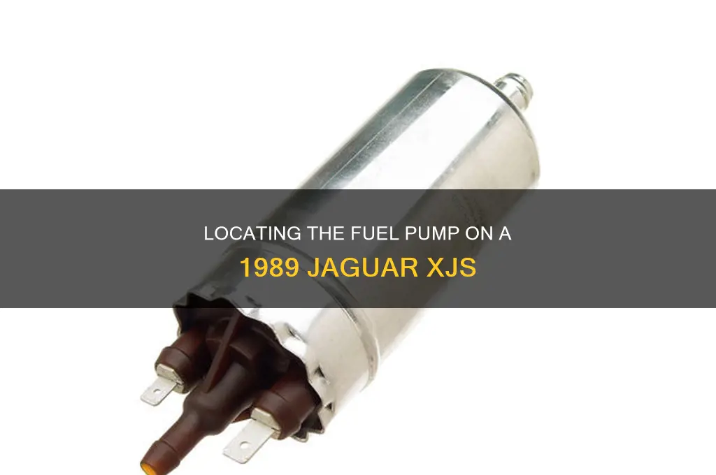 where is the fuel pump on 1989 jaguar xjs