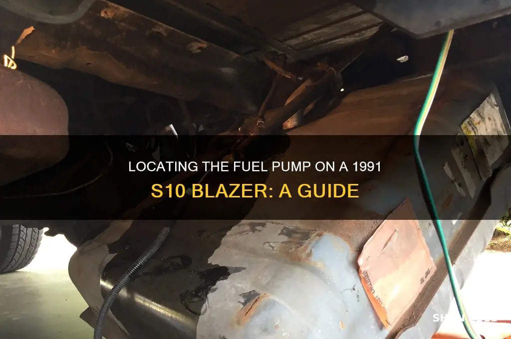 where is the fuel pump on 1991 s10 blazer