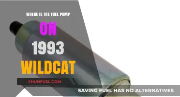 Locating the Fuel Pump on a 1993 Wildcat: A Guide