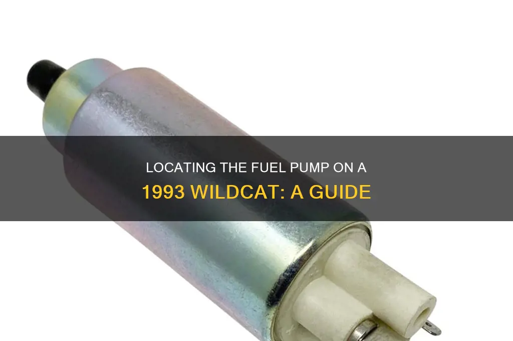where is the fuel pump on 1993 wildcat