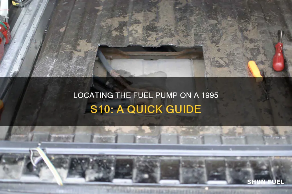 where is the fuel pump on 1995 s10