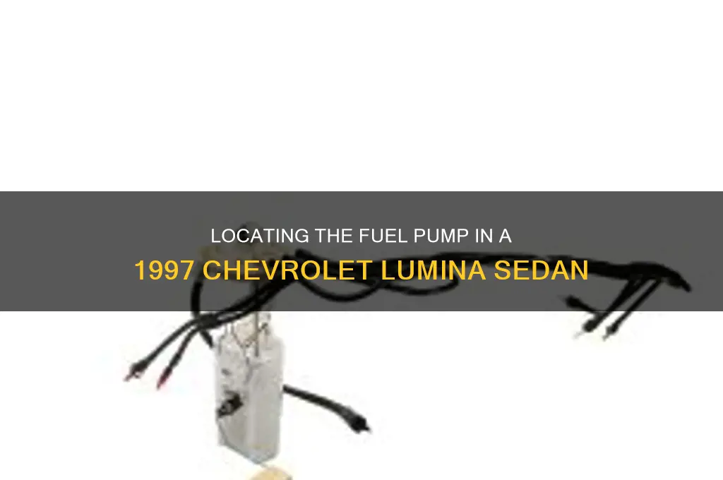 where is the fuel pump on 1997 chrolet lumina sedan