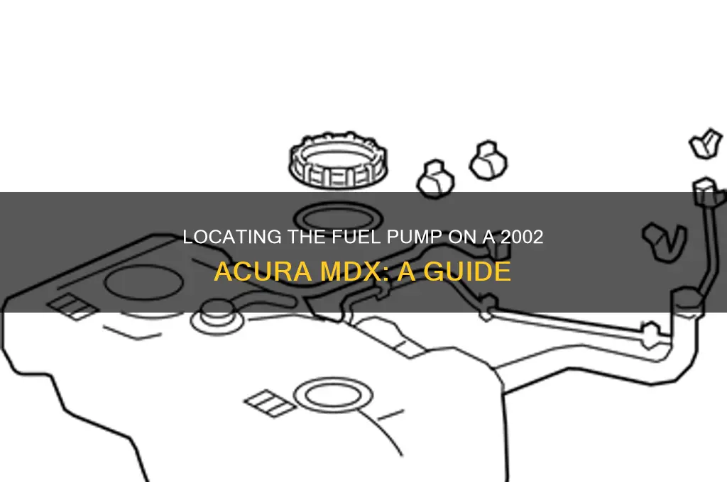 where is the fuel pump on 2002 acura mdx