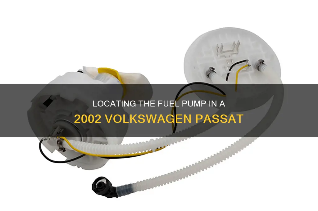 where is the fuel pump on 2002 passat