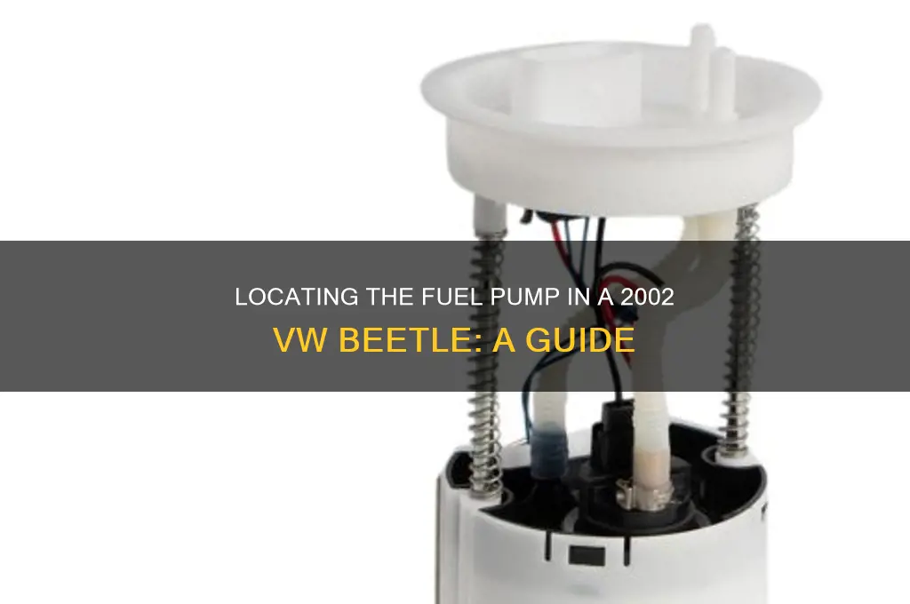 where is the fuel pump on 2002 vw beetle