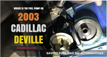Locating the Fuel Pump in a 2003 Cadillac Deville