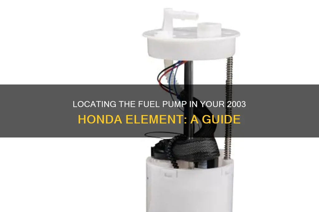 where is the fuel pump on 2003 honda element
