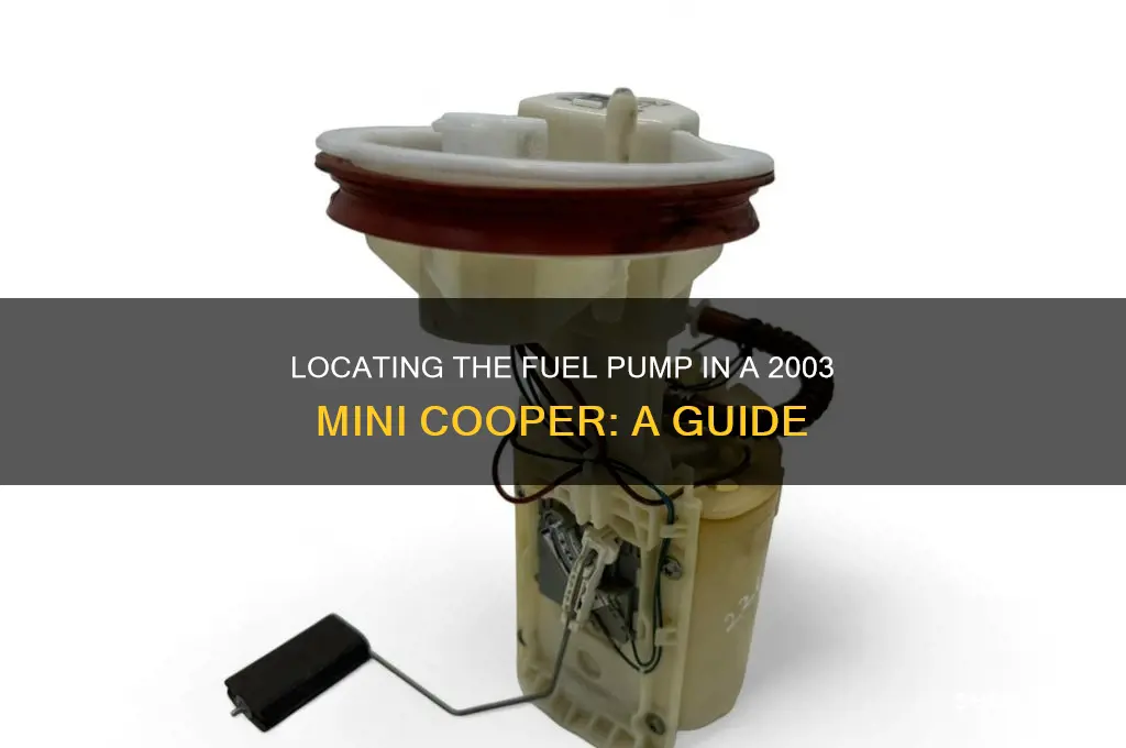 where is the fuel pump on 2003 mini cooper