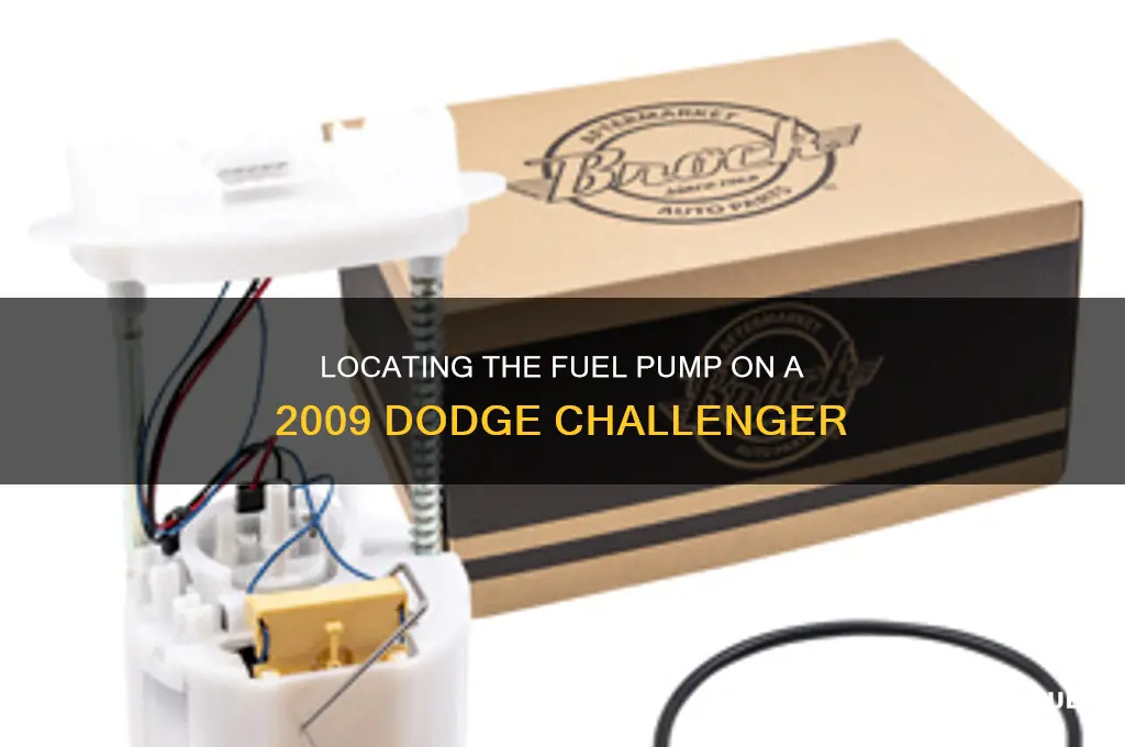 where is the fuel pump on 2009 dodge challenger