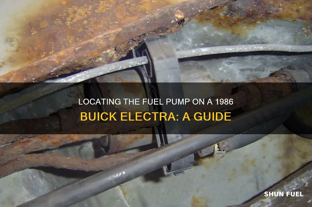where is the fuel pump on 86 buick elektra