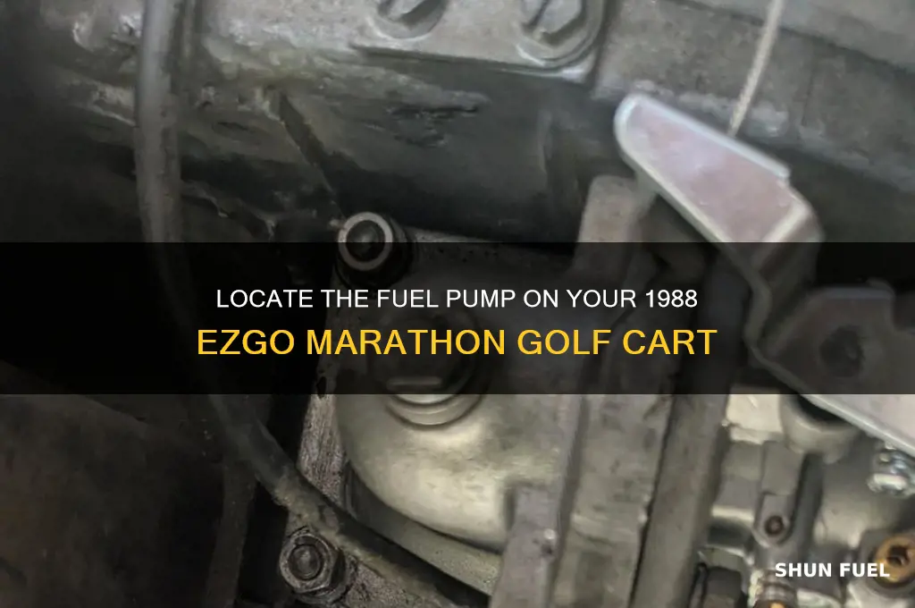 where is the fuel pump on 88 ezgo marathon