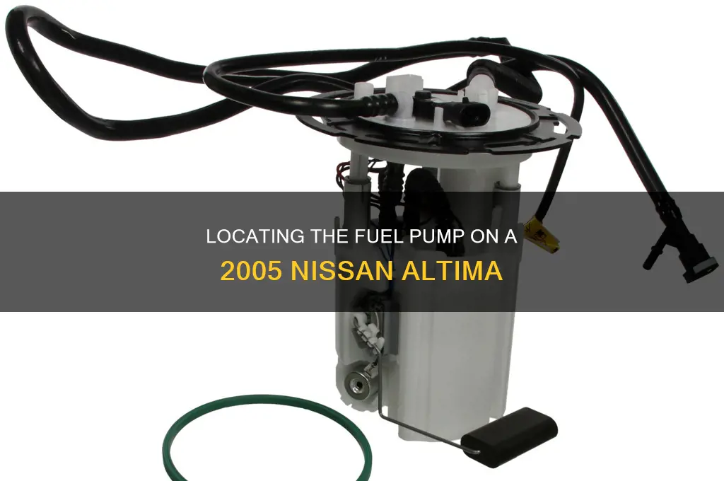 where is the fuel pump on a 05 altima