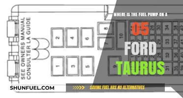 Locate the Fuel Pump on a 2005 Ford Taurus Easily