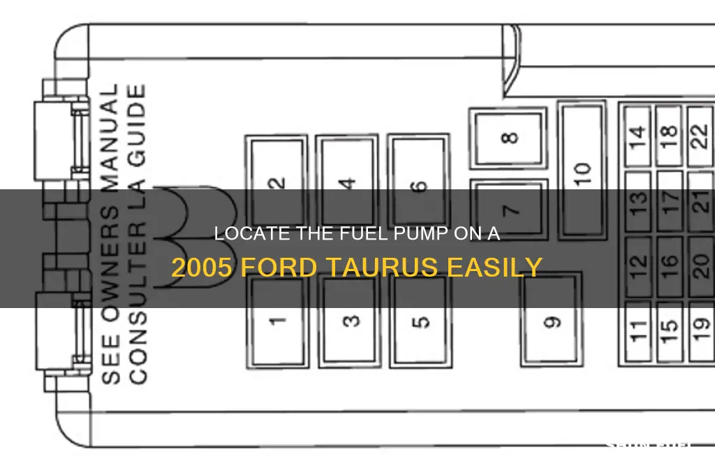 where is the fuel pump on a 05 ford taurus